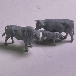 Cow family (3)